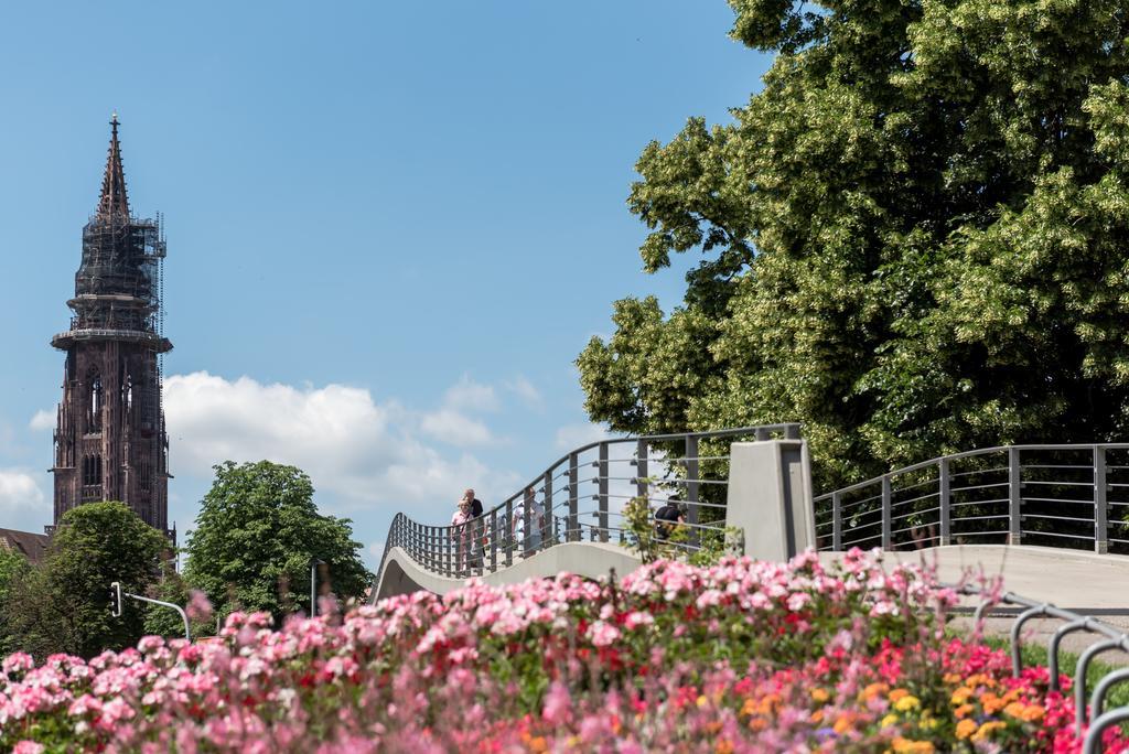 Boutique Apartments Am Stadtgarten Freiburg im Breisgau Dış mekan fotoğraf